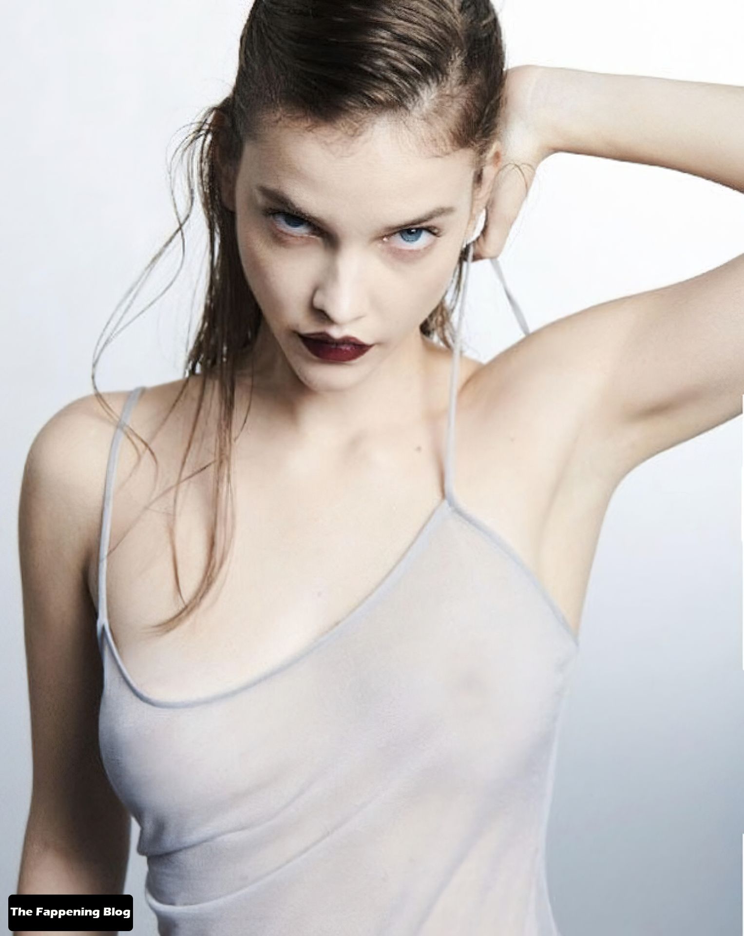Palvin Barbi mellei